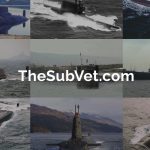 Subvet