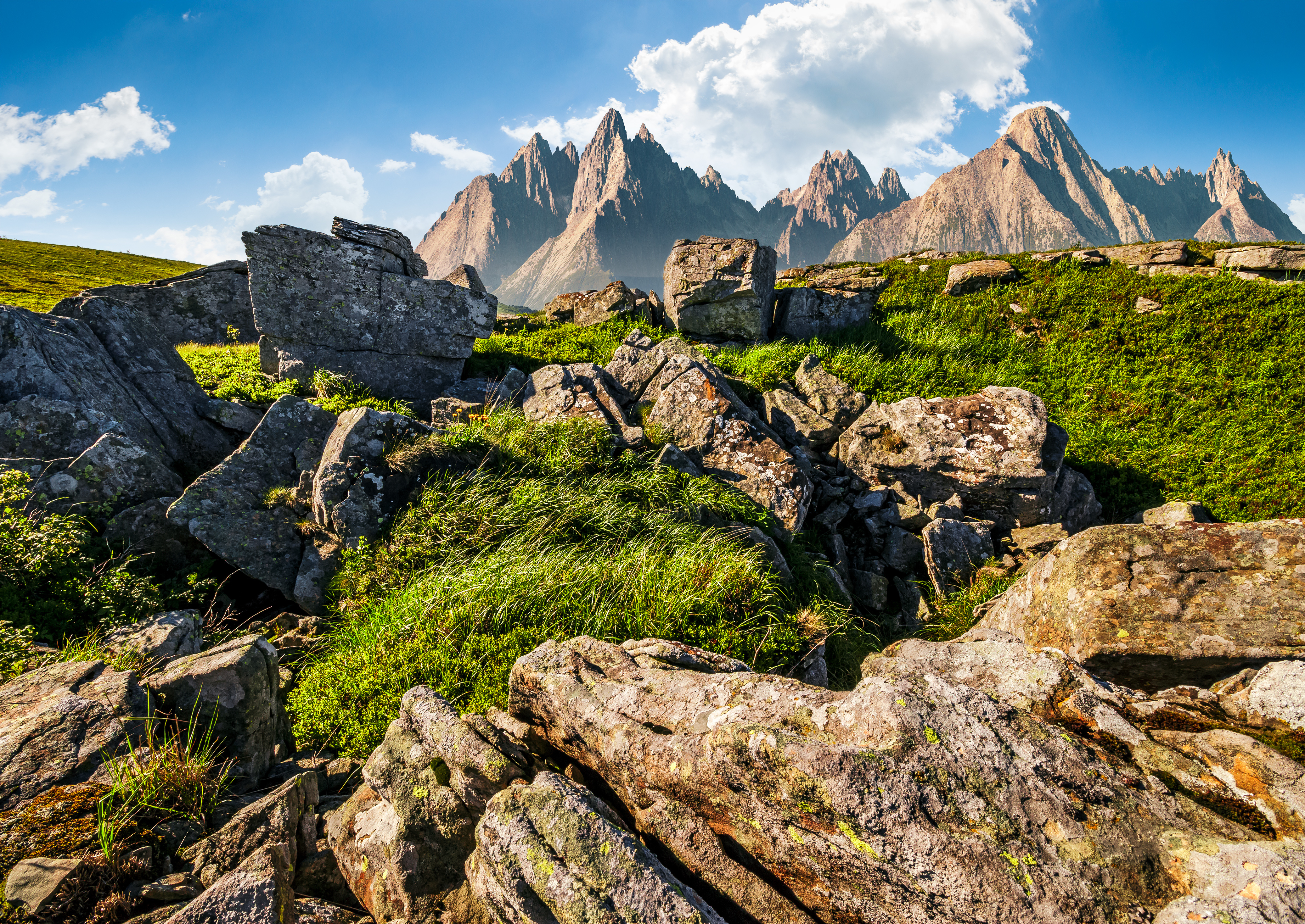 Overcoming Life’s Obstacles with Consistent Persistence